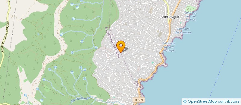 localisation de l'entreprise MONSIEUR DANIEL PEPINO  ROQUEBRUNE-SUR-ARGENS