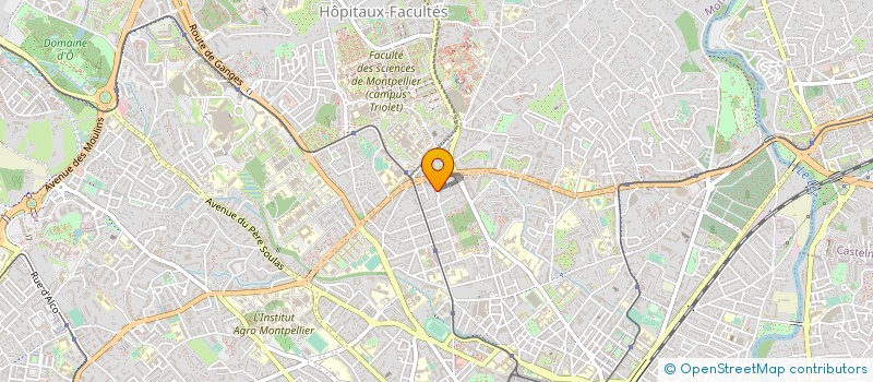 localisation de l'entreprise MONSIEUR DANIEL RAVEL à MONTPELLIER