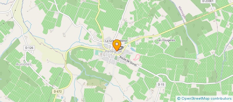 localisation de l'entreprise MONSIEUR DANIEL REY-CANUT  PELLEGRUE