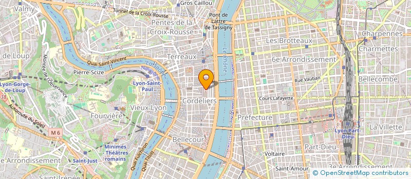 localisation de l'entreprise MONSIEUR DANIEL RICHARD  LYON