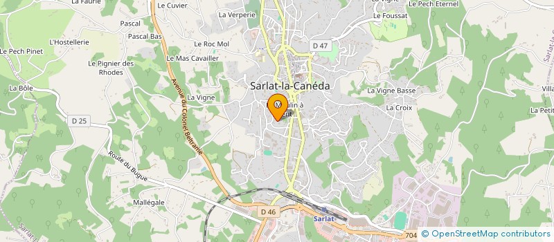 localisation de l'entreprise MONSIEUR DANIEL RIECHELMAN  SARLAT-LA-CANEDA