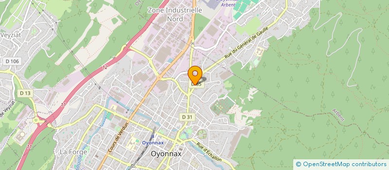 localisation de l'entreprise MONSIEUR DANIEL RIVA à OYONNAX