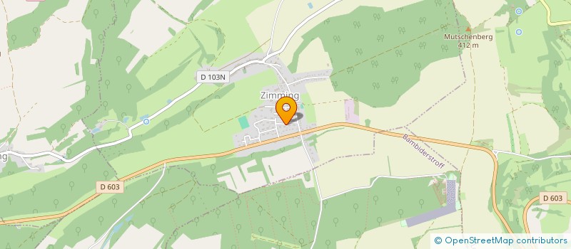 localisation de l'entreprise MONSIEUR DANIEL ROTH  ZIMMING