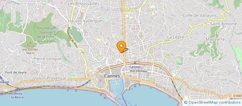 localisation de l'entreprise MONSIEUR DANIEL RUIZ à CANNES