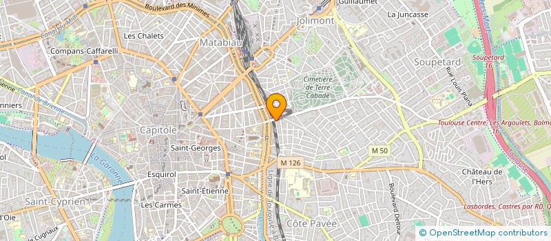 localisation de l'entreprise MONSIEUR DANIEL SELIG à TOULOUSE