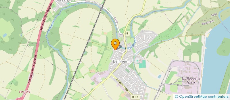 localisation de l'entreprise MONSIEUR DANIEL STREISSEL  BEINHEIM