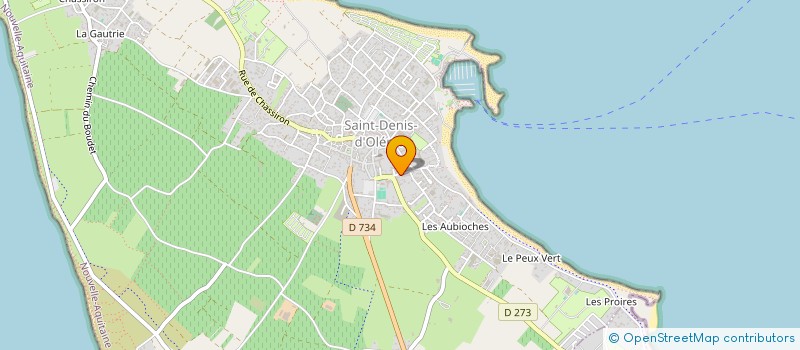 localisation de l'entreprise MONSIEUR DANIEL TANCHAUD  SAINT DENIS D'OLERON