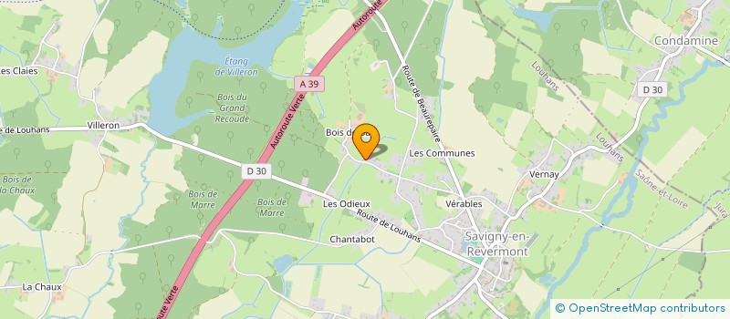 localisation de l'entreprise MONSIEUR DANIEL THIBERT  SAVIGNY-EN-REVERMONT