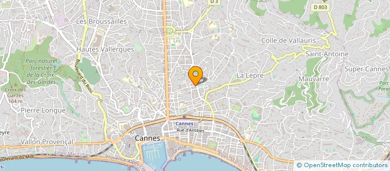 localisation de l'entreprise MONSIEUR DANIEL TIOURINE  CANNES