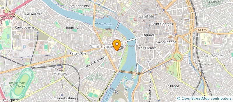 localisation de l'entreprise MONSIEUR DANIEL TOMASIN  TOULOUSE
