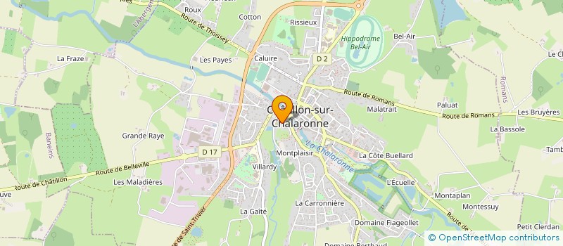 localisation de l'entreprise MONSIEUR DANIEL TOPALIAN à CHATILLON-SUR-CHALARONNE