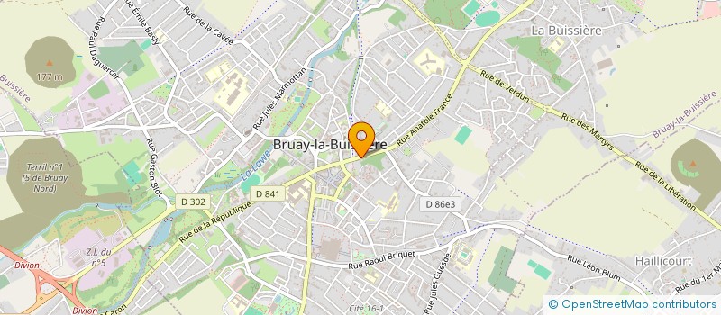 localisation de l'entreprise MONSIEUR DANIEL TYLSKI  BRUAY-LA-BUISSIERE