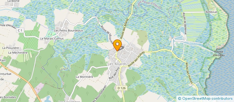 localisation de l'entreprise MONSIEUR DANIEL VIDEAU  DOLUS-D'OLERON