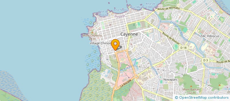 localisation de l'entreprise MONSIEUR DANIEL WONG TAT PANG à CAYENNE