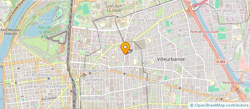 localisation de l'entreprise MONSIEUR DANN MUTE  VILLEURBANNE