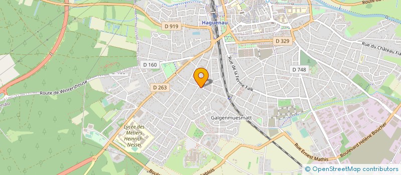 localisation de l'entreprise MONSIEUR DANY GRISSMER  HAGUENAU