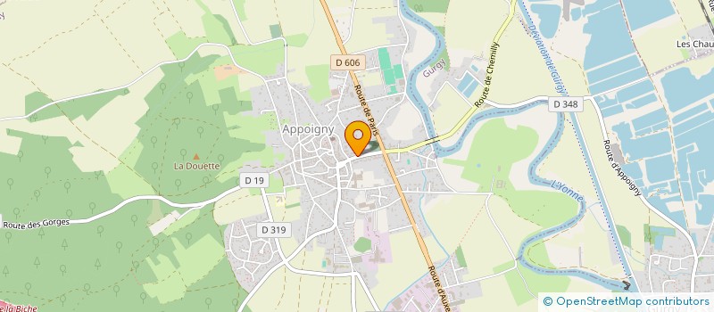 localisation de l'entreprise MONSIEUR DANY SCHULTZ à APPOIGNY