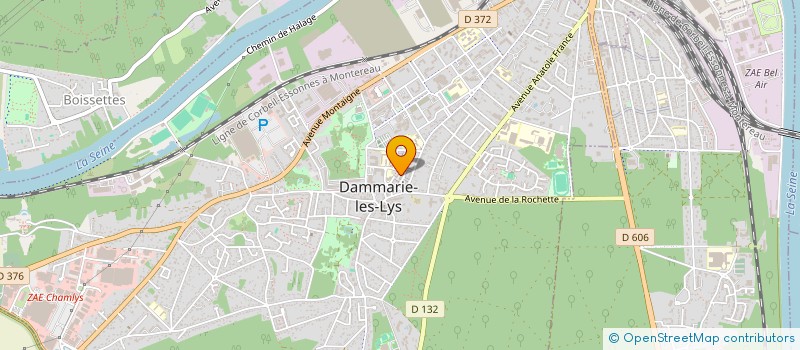 localisation de l'entreprise MONSIEUR DARIO GOMA à DAMMARIE-LES-LYS