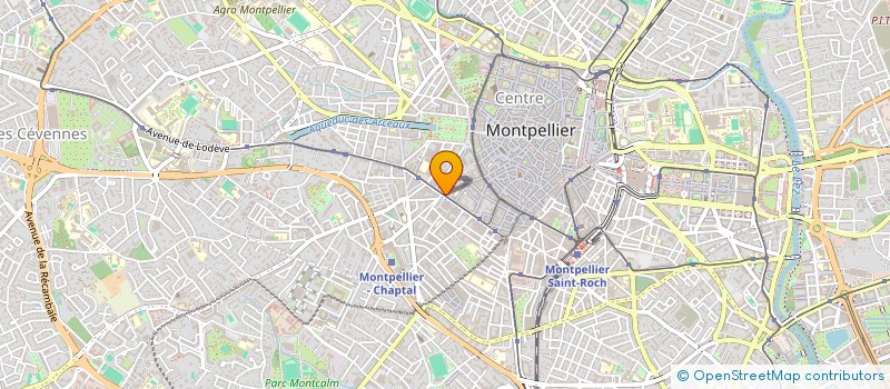 localisation de l'entreprise MONSIEUR DARIO PALOMINOS ROJAS à MONTPELLIER