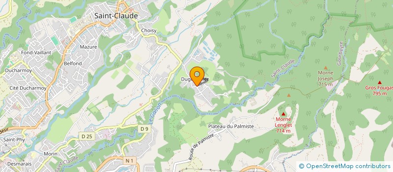 localisation de l'entreprise MONSIEUR DARIO PRADEL à SAINT-CLAUDE