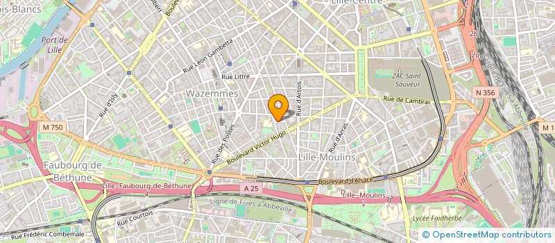 localisation de l'entreprise MONSIEUR DARIO VERGARA SANTANDER à LILLE