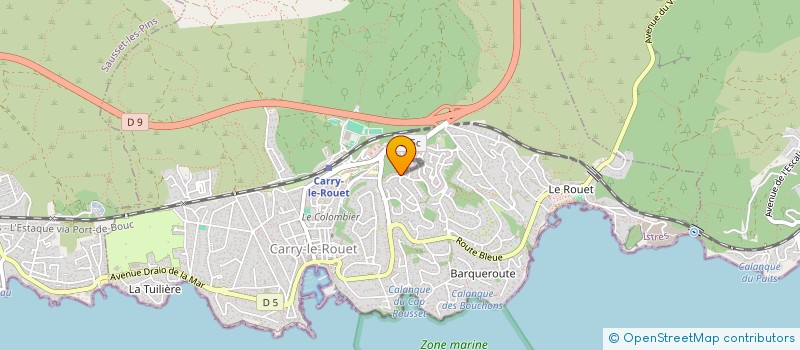 localisation de l'entreprise MONSIEUR DARIUS MENDES  CARRY-LE-ROUET