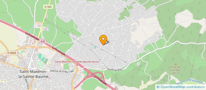 localisation de l'entreprise MONSIEUR DARIUSZ WROBLEWSKI à SAINT-MAXIMIN-LA-SAINTE-BAUME