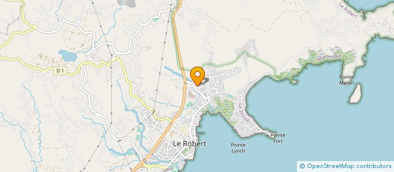 localisation de l'entreprise MONSIEUR DAVE LUCAS à LE ROBERT
