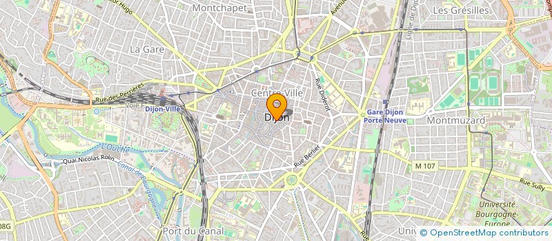 localisation de l'entreprise MONSIEUR DAVID ADOLPHE  DIJON