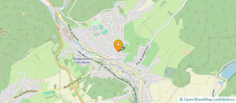 localisation de l'entreprise MONSIEUR DAVID AKCAY  NIEDERBRONN-LES-BAINS