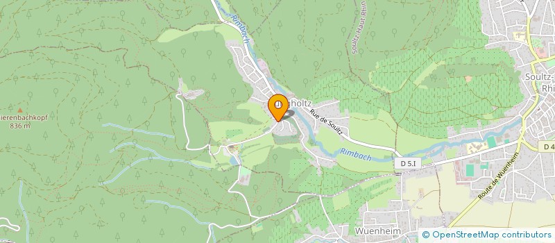 localisation de l'entreprise MONSIEUR DAVID AMM  JUNGHOLTZ