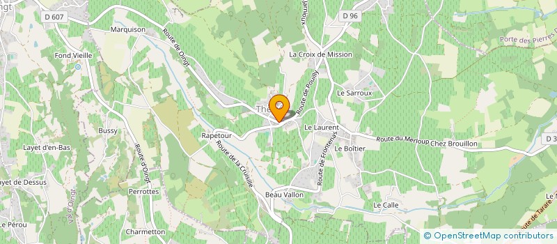 localisation de l'entreprise MONSIEUR DAVID AMMAR GUALTIERI  THEIZE