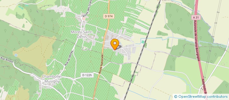 localisation de l'entreprise MONSIEUR DAVID AMOROSINI  MOREY-SAINT-DENIS