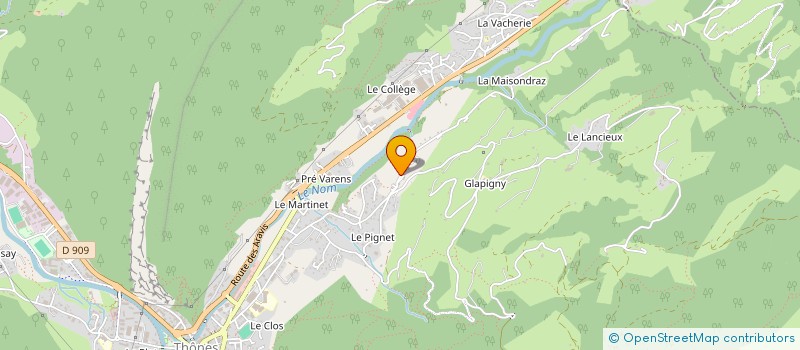 localisation de l'entreprise MONSIEUR DAVID ANDRE  THONES