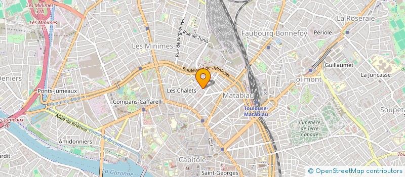 localisation de l'entreprise MONSIEUR DAVID ASSIE à TOULOUSE