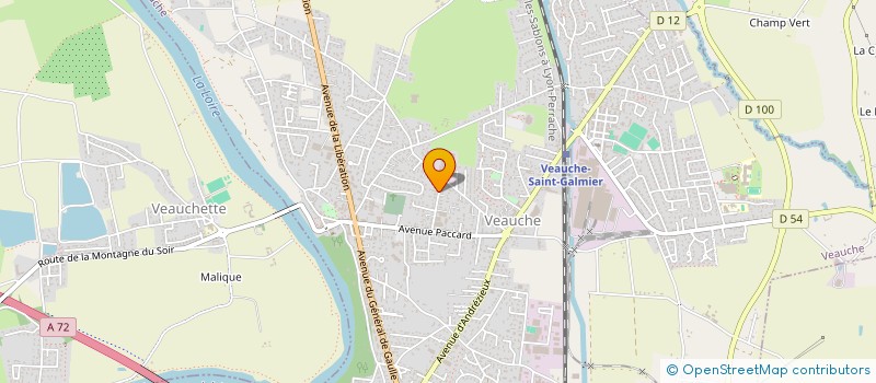 localisation de l'entreprise MONSIEUR DAVID ASTIC  VEAUCHE