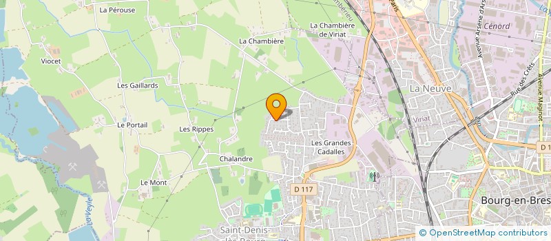 localisation de l'entreprise MONSIEUR DAVID AUDISIO à SAINT-DENIS-LES-BOURG