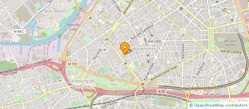 localisation de l'entreprise MONSIEUR DAVID BARTHELEMY à LILLE