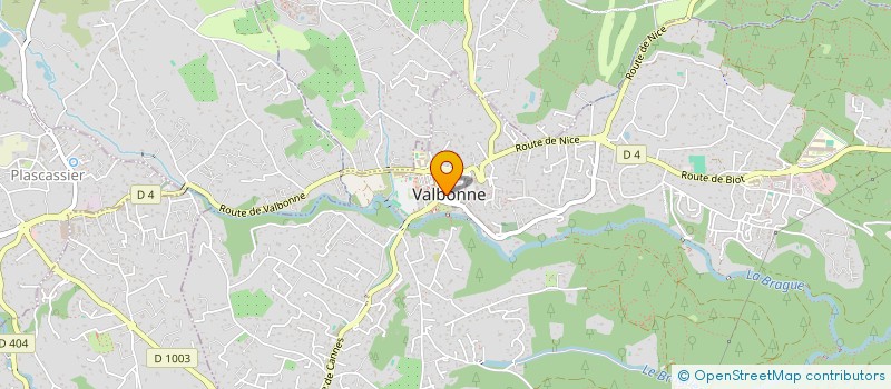 localisation de l'entreprise MONSIEUR DAVID BEBER à VALBONNE