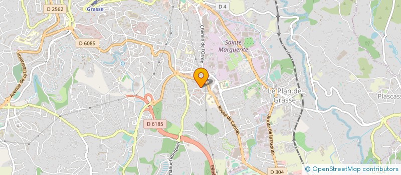 localisation de l'entreprise MONSIEUR DAVID BELLENGIER  GRASSE