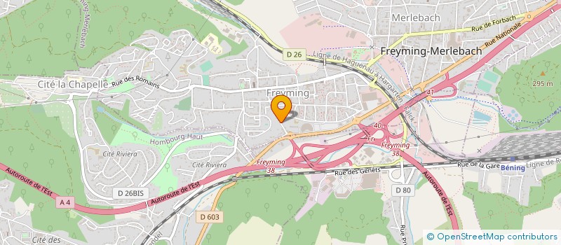 localisation de l'entreprise MONSIEUR DAVID BENHAMOU  FREYMING-MERLEBACH