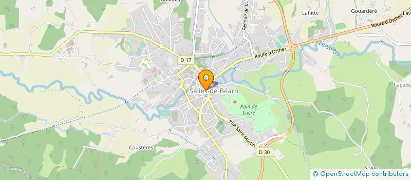 localisation de l'entreprise MONSIEUR DAVID BOLEAT à SALIES-DE-BEARN