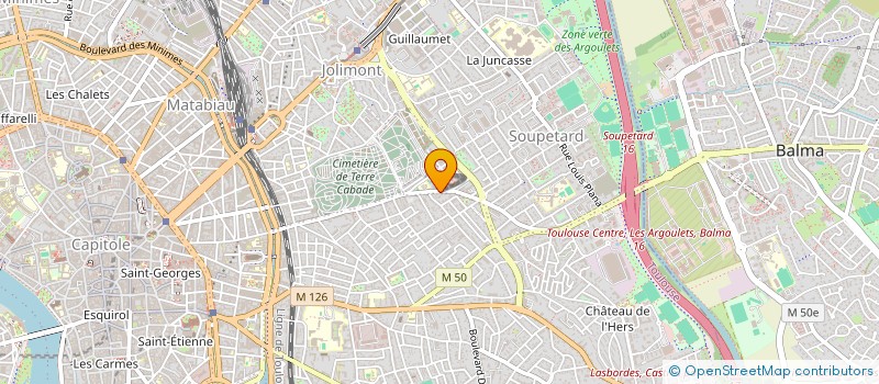 localisation de l'entreprise MONSIEUR DAVID BONNAL-CONDUZORGUES  TOULOUSE