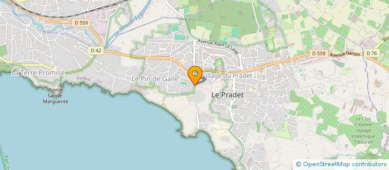 localisation de l'entreprise MONSIEUR DAVID BORGNA à LE PRADET