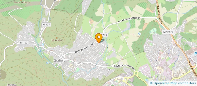 localisation de l'entreprise MONSIEUR DAVID BOSCH  GRABELS