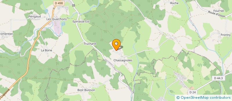 localisation de l'entreprise MONSIEUR DAVID BOUREILLE  USSON-EN-FOREZ