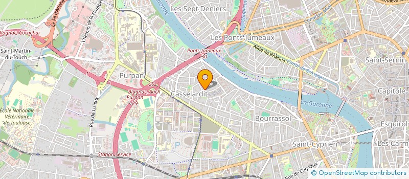 localisation de l'entreprise MONSIEUR DAVID BOURJAC  TOULOUSE