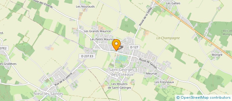 localisation de l'entreprise MONSIEUR DAVID BOURON  NIEUL-LES-SAINTES