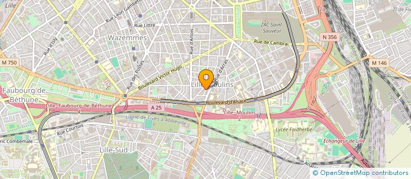 localisation de l'entreprise MONSIEUR DAVID BOUSMAHA à LILLE