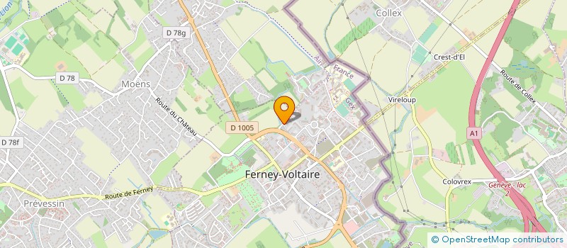 localisation de l'entreprise MONSIEUR DAVID BOYER à FERNEY-VOLTAIRE